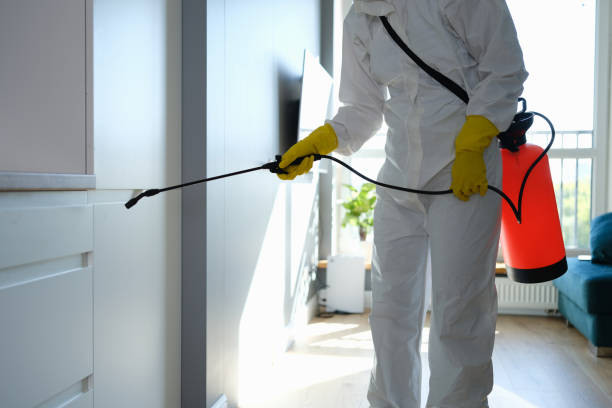 Certified Mold Removal in China Spring, TX