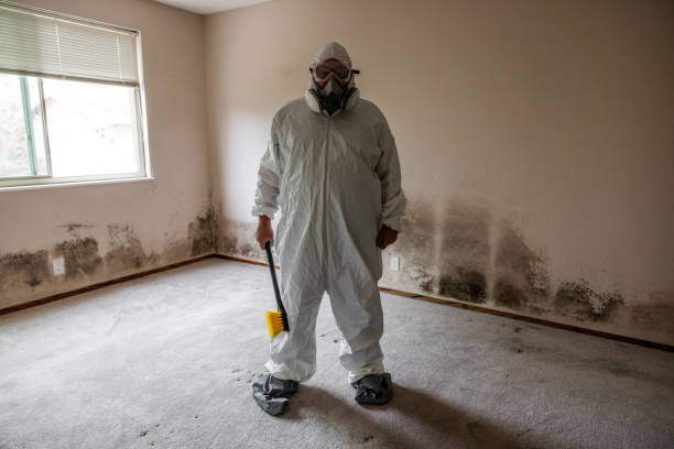Best Attic Mold Removal  in China Spring, TX
