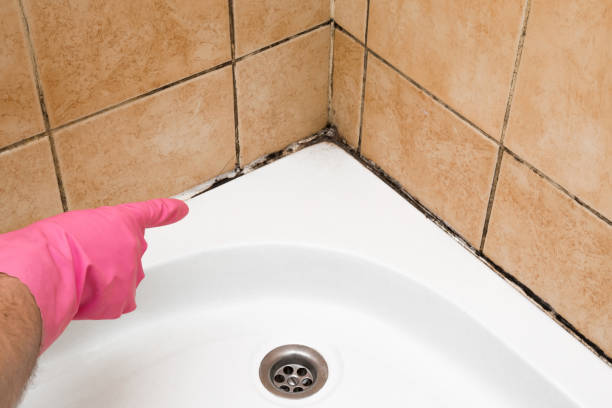 Best Affordable Mold Removal  in China Spring, TX